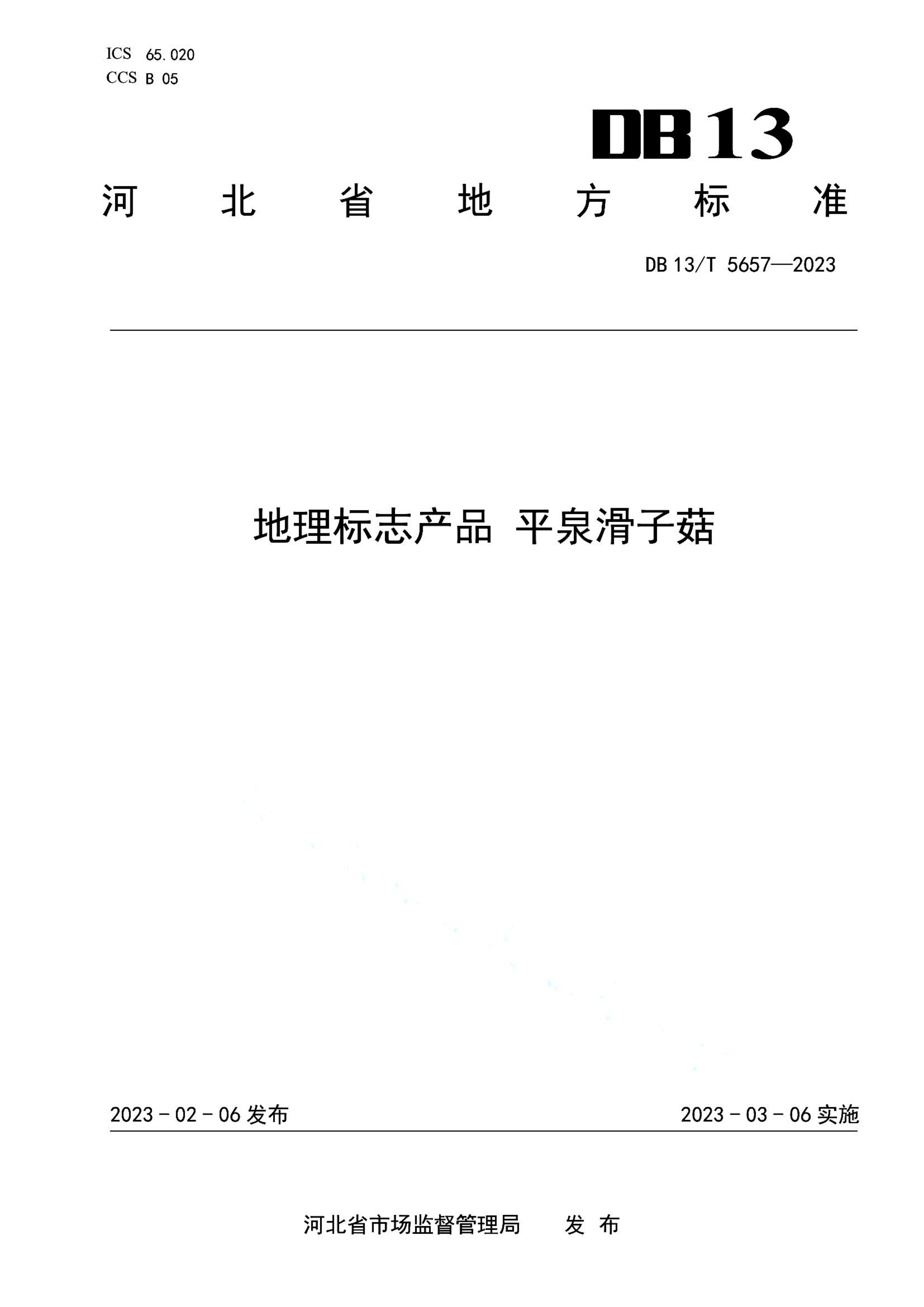 资源详情图